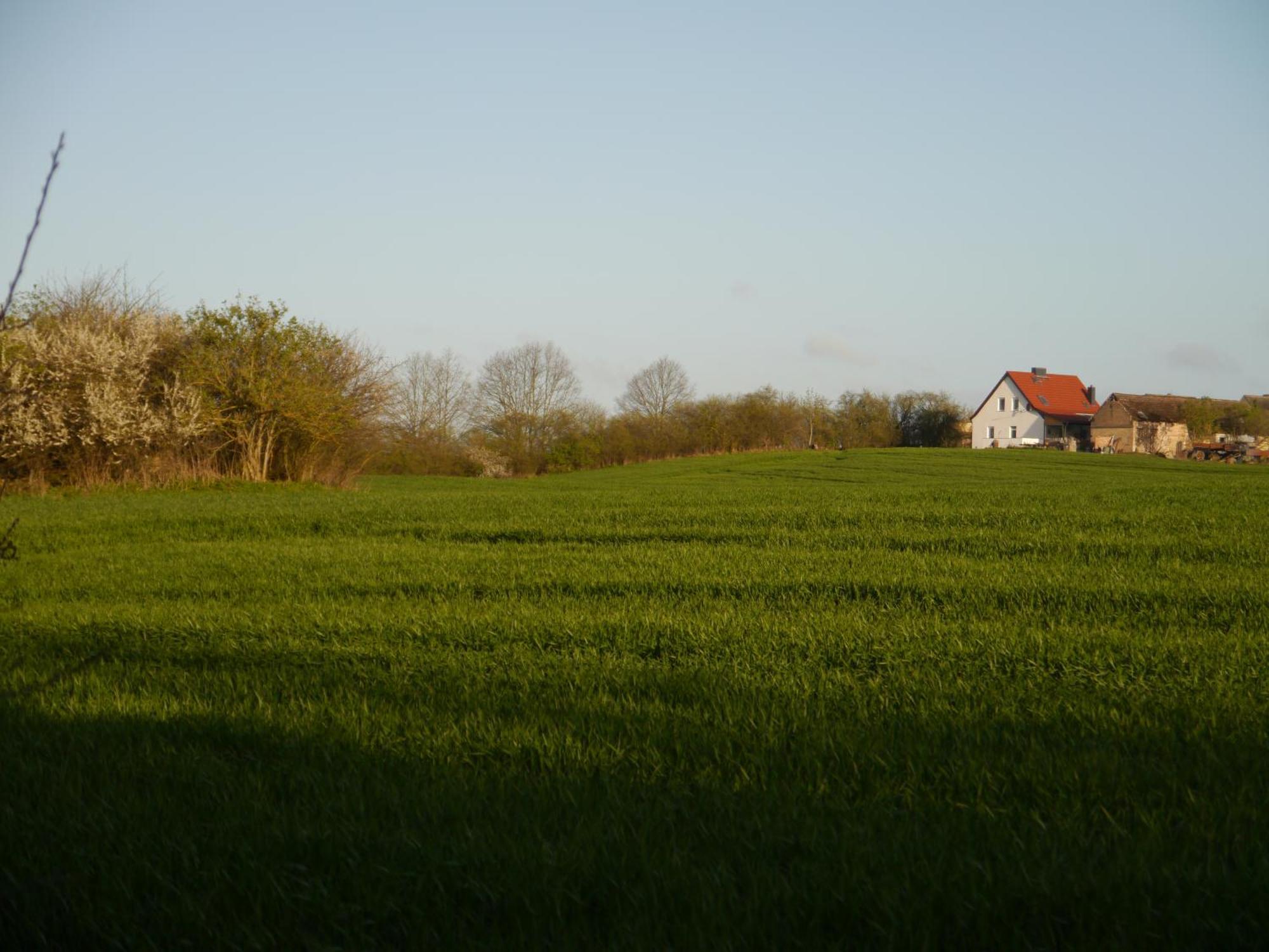 Ferienhaus-Uckermarkblick Apartman Rosenow  Kültér fotó