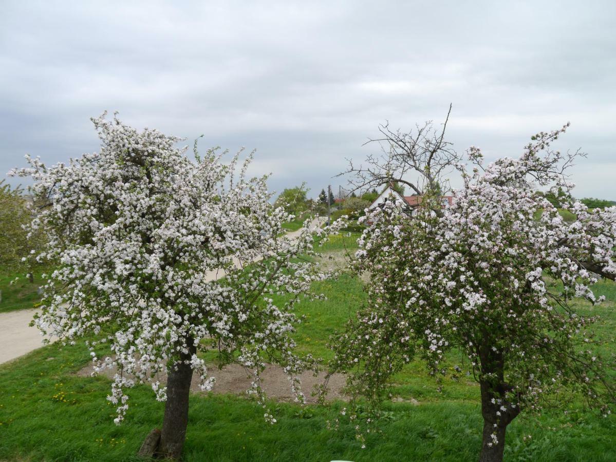 Ferienhaus-Uckermarkblick Rosenow  Kültér fotó